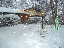 photo thumbnail