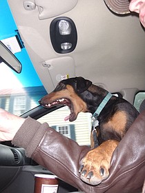 photo thumbnail
