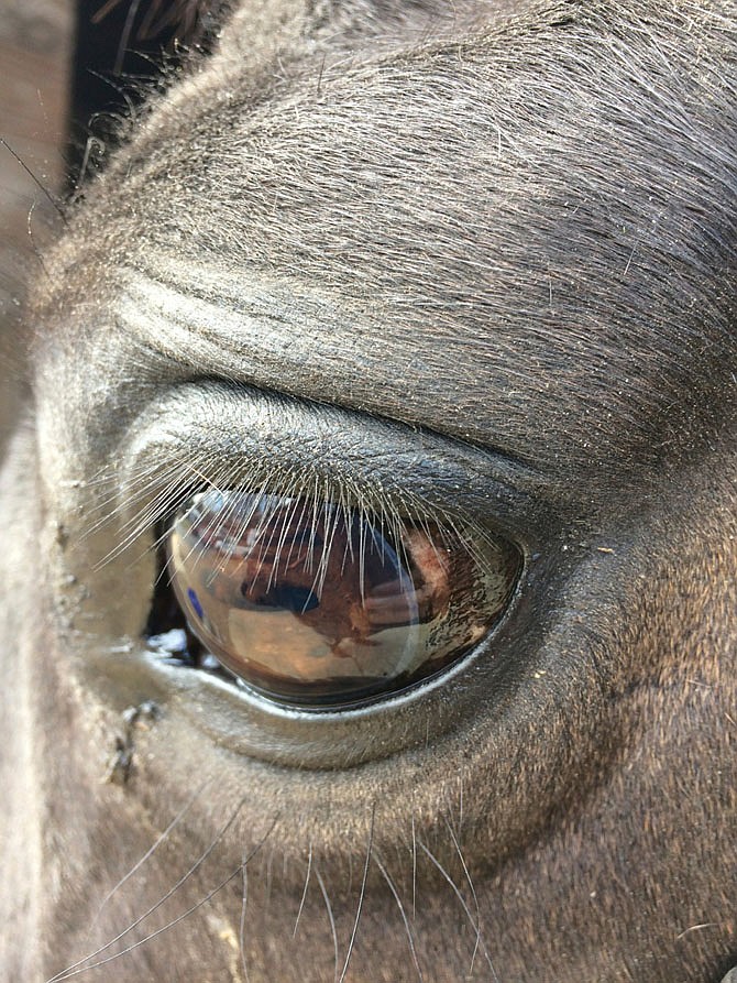 Photo detail