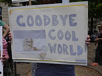 photo thumbnail
