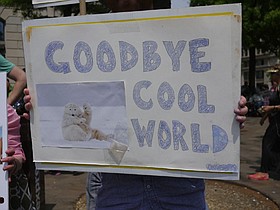 Photo detail