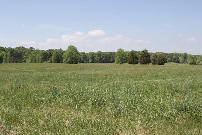 Photo detail