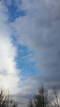 photo thumbnail