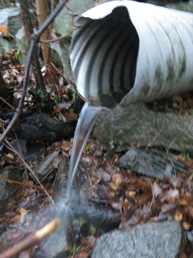 Photo detail