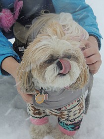 photo thumbnail