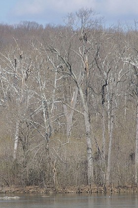 Photo detail