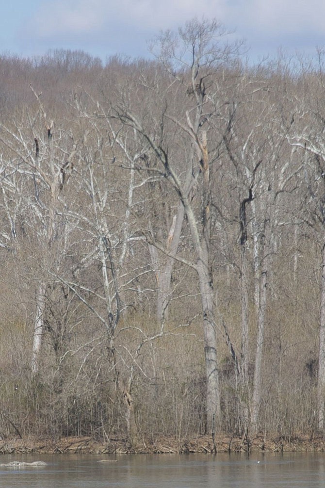 Photo detail