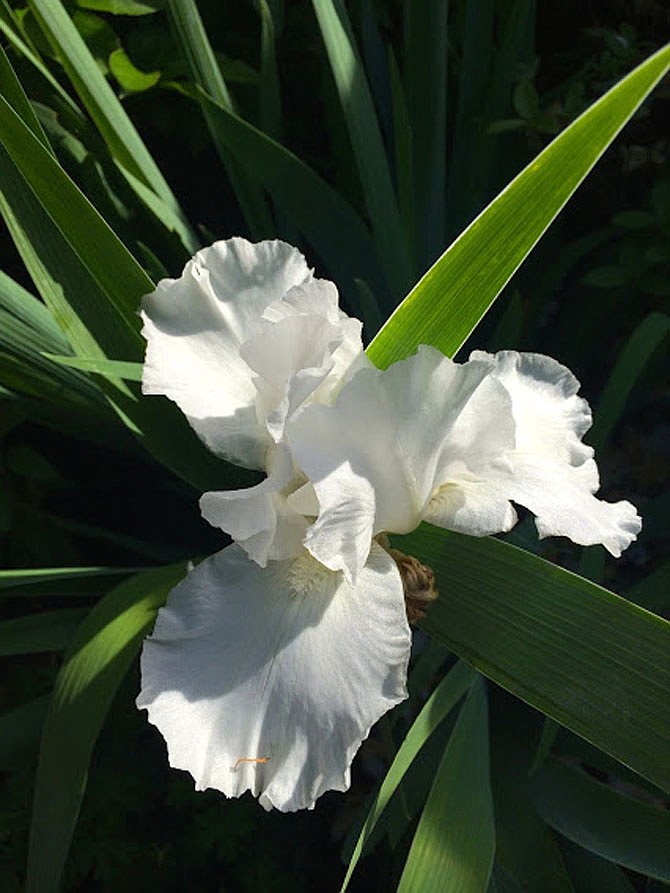 Photo detail