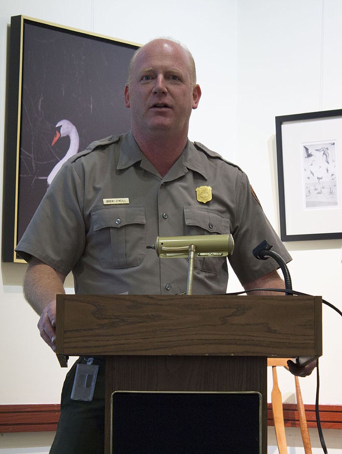 Photo detail