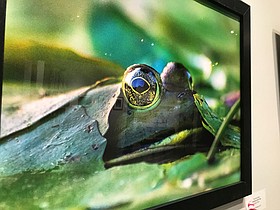 Photo detail