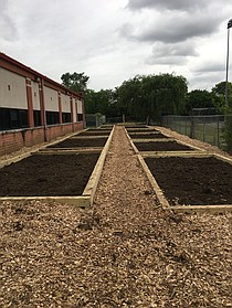 photo thumbnail