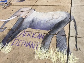 Photo detail