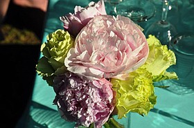Photo detail