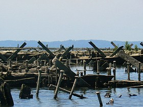 Photo detail