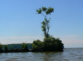 Photo detail
