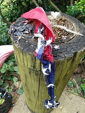 Photo detail