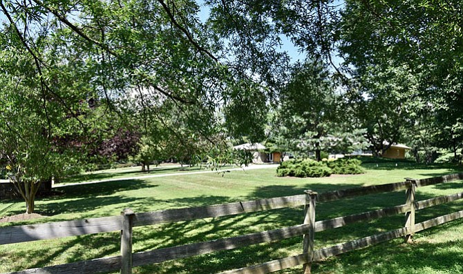 Photo detail