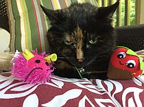 photo thumbnail