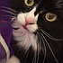 photo thumbnail