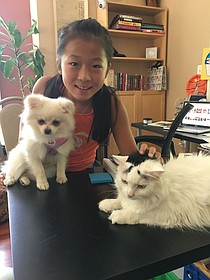 photo thumbnail