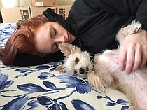 photo thumbnail