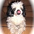 photo thumbnail