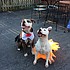 photo thumbnail