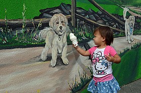 Photo detail