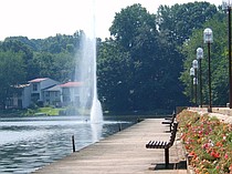 photo thumbnail