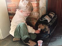 photo thumbnail
