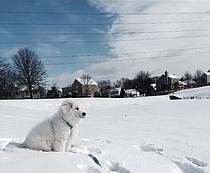 photo thumbnail