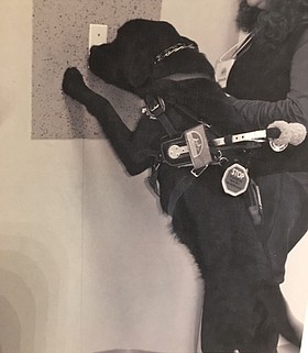 Photo detail