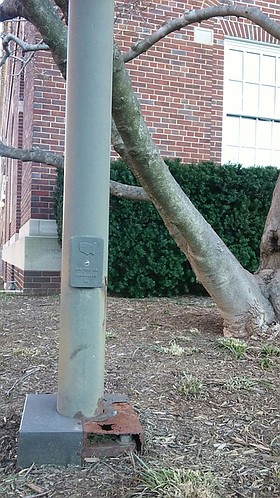 Photo detail