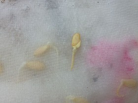 Photo detail