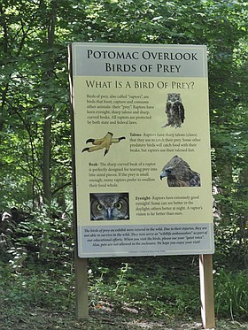 Photo detail