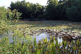 Photo detail