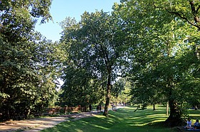 Photo detail