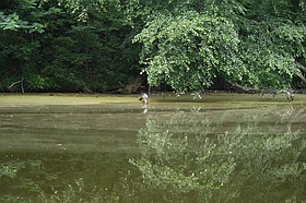 Photo detail