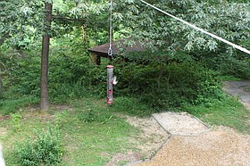 Photo detail