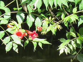Photo detail