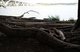 Photo detail