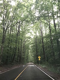 photo thumbnail