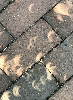 Photo detail
