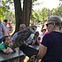 photo thumbnail