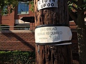 Photo detail