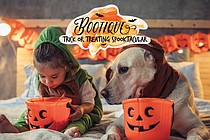 photo thumbnail