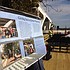 photo thumbnail
