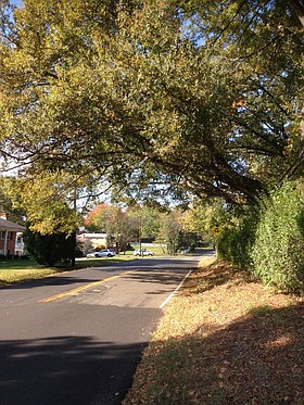 Photo detail