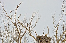 Photo detail