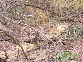 Photo detail